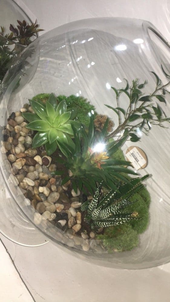 Terrarium